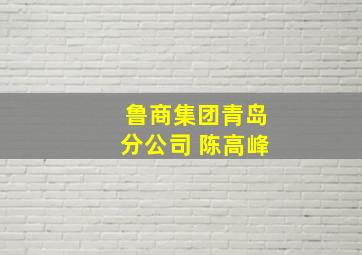 鲁商集团青岛分公司 陈高峰